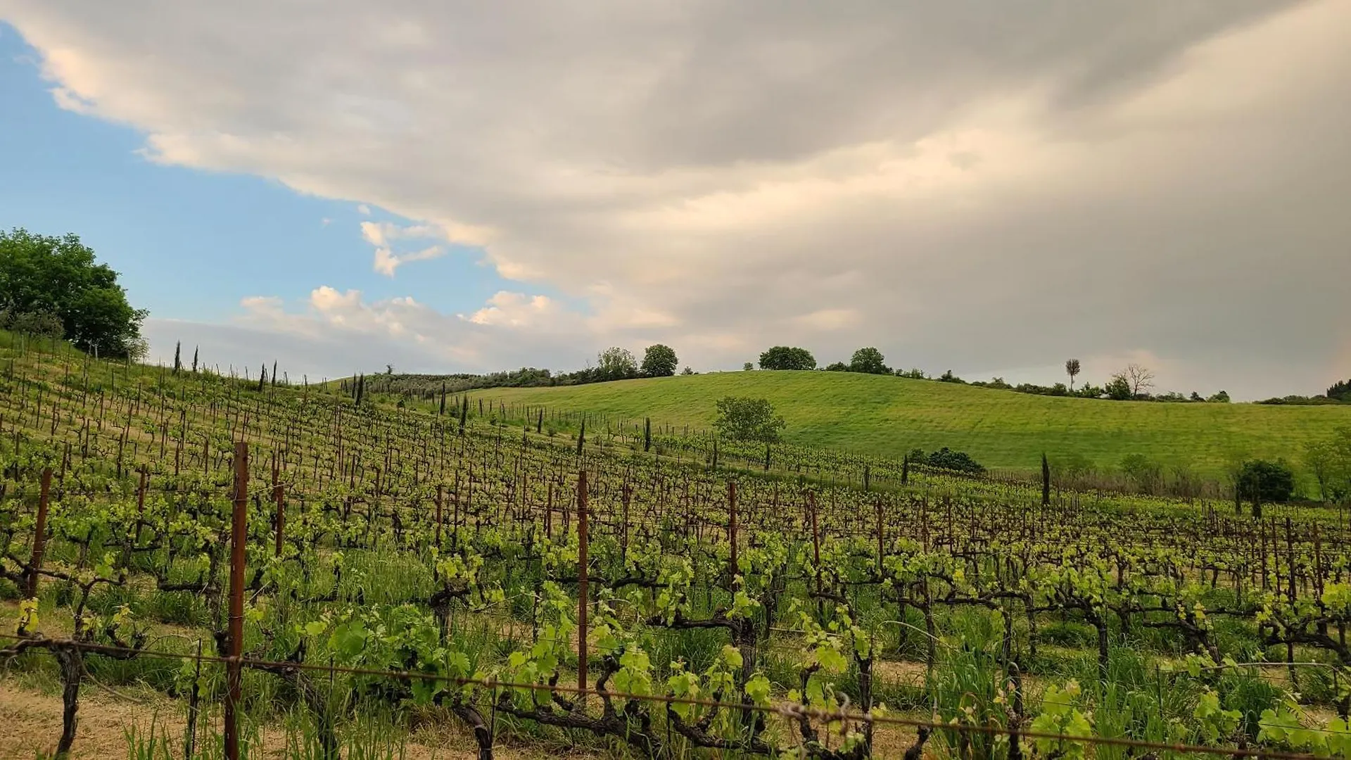 Bauernhof Villa La Torre Sulla Via Francigena Gambassi Terme
